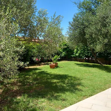 Apartament Orchid Selce