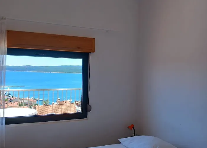 شقة Orchid سيلتسي