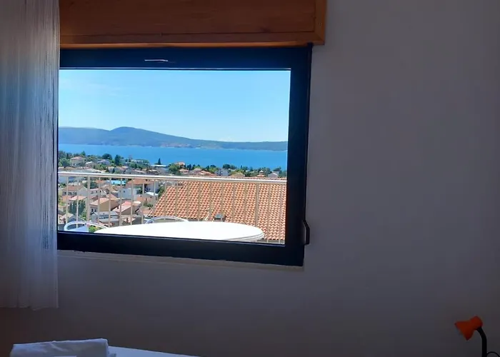 Orchid * سيلتسي