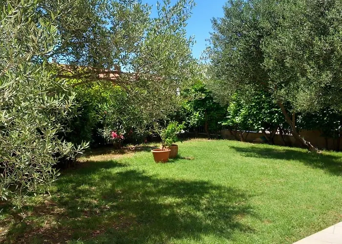 شقة Orchid سيلتسي