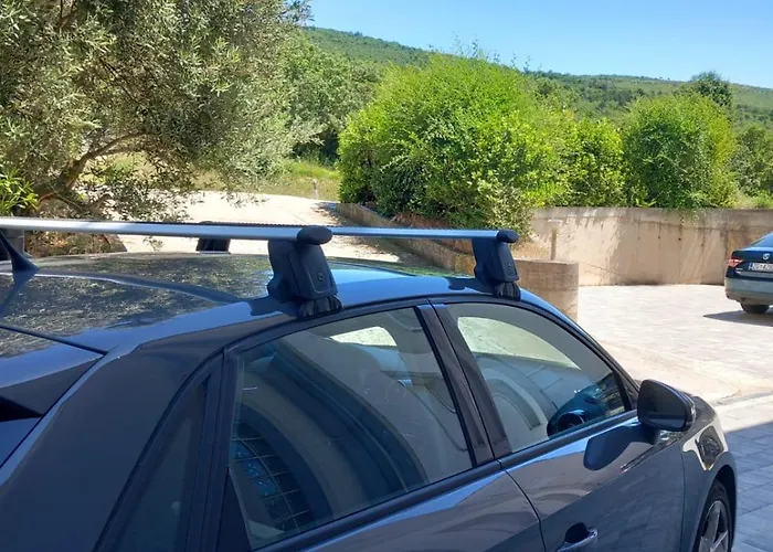 Orchid شقة سيلتسي